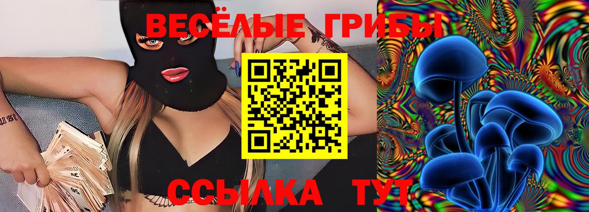 купить   Псилоцибиновые грибы прущие грибы  Моршанск  Вход с VPN  Псилоцибиновые грибы GOLDEN TEACHER 